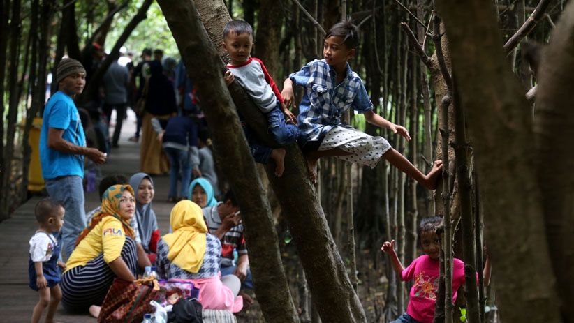 Libur Tahun Baru, Hutan Mangrove Wonorejo Dipenuhi Pengunjung