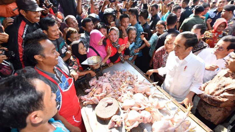 Blusukan ke Pasar Ngemplak, Presiden Jokowi Belanja Beras dan Ayam - Bagian 2