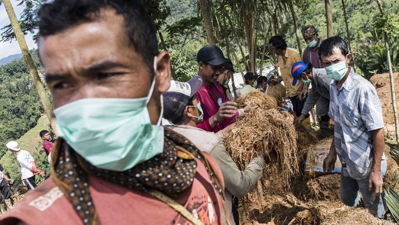 Gotong Royong Selamatkan Padi yang Tertimbun Longsor Sukabumi