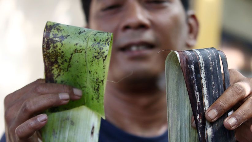 Perajin Ini Ekspor Kerajinan Tangan Berbahan Pelepah Pohon Pisang - Bagian 7
