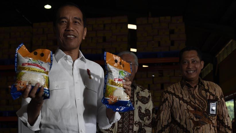 Presiden Jokowi Cek Ketersediaan Stok Beras Bulog  - Bagian 2