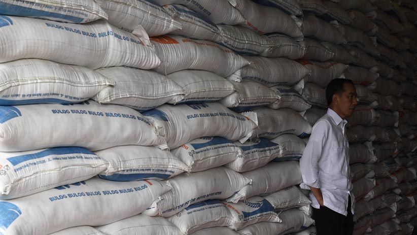 Presiden Jokowi Cek Ketersediaan Stok Beras Bulog  - Bagian 5