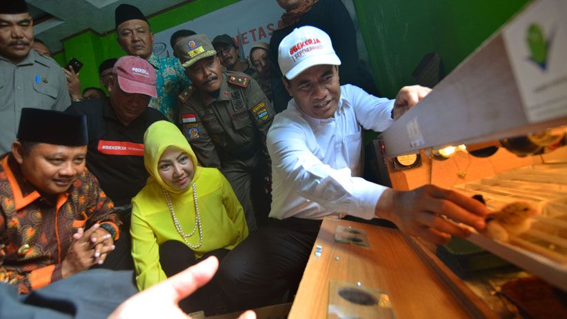 Mentan Tebar Ayam Kampung Petelur untuk 11.000 Warga Miskin Tasikmalaya - Bagian 2
