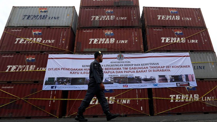 Kementerian LHK Sita Kayu Ilegal Senilai Rp104,63 M dari Papua