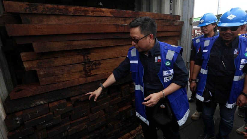 Kementerian LHK Sita Kayu Ilegal Senilai Rp104,63 M dari Papua