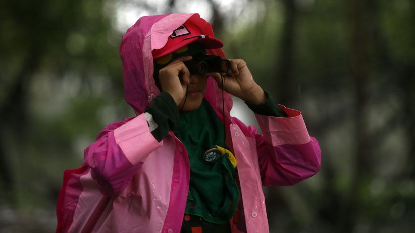 Memantau Spesies Burung di Hutan Lindung Angke Kapuk - Bagian 2