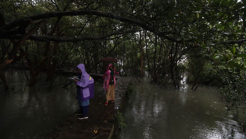 Memantau Spesies Burung di Hutan Lindung Angke Kapuk - Bagian 3