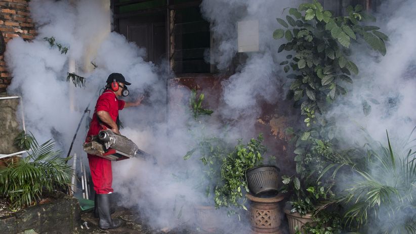 Jakarta Waspada Penyakit Demam Berdarah Dengue - Bagian 2