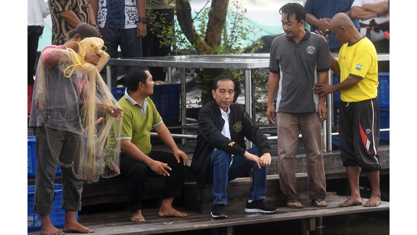 Presiden Jokowi Panen Udang di Muara Gembong - Bagian 4
