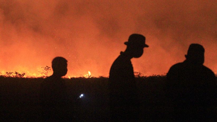 Kebakaran Lahan Gambut di Aceh Barat Sulit Dipadamkan - Bagian 2