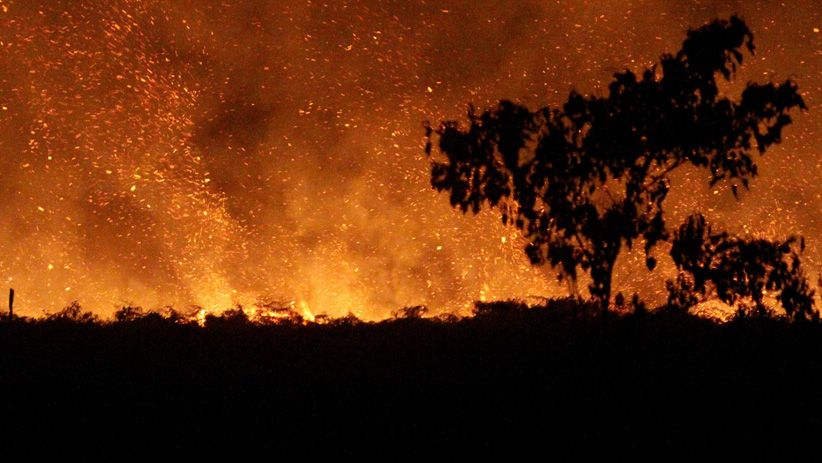 Kebakaran Lahan Gambut di Aceh Barat Sulit Dipadamkan