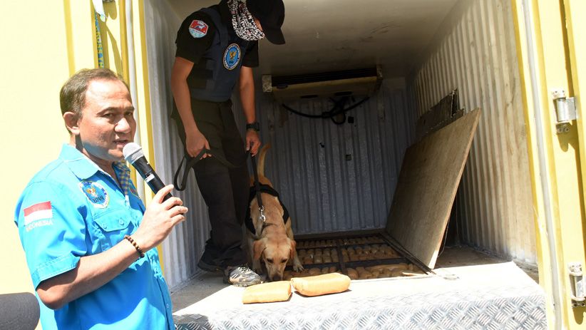 Truk Modifikasi Bawa 1,5 Ton Ganja Ditangkap BNN - Bagian 2