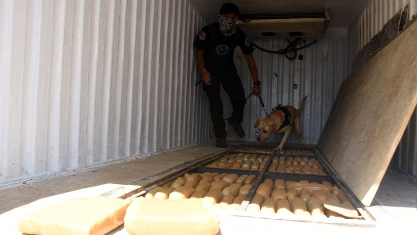 Truk Modifikasi Bawa 1,5 Ton Ganja Ditangkap BNN - Bagian 1