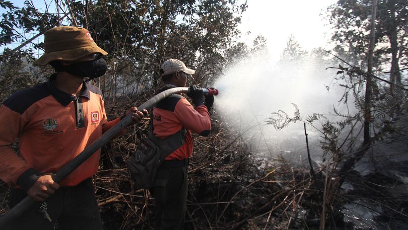 10 Hektare Hutan Konservasi di Dumai Hangus Terbakar - Bagian 3