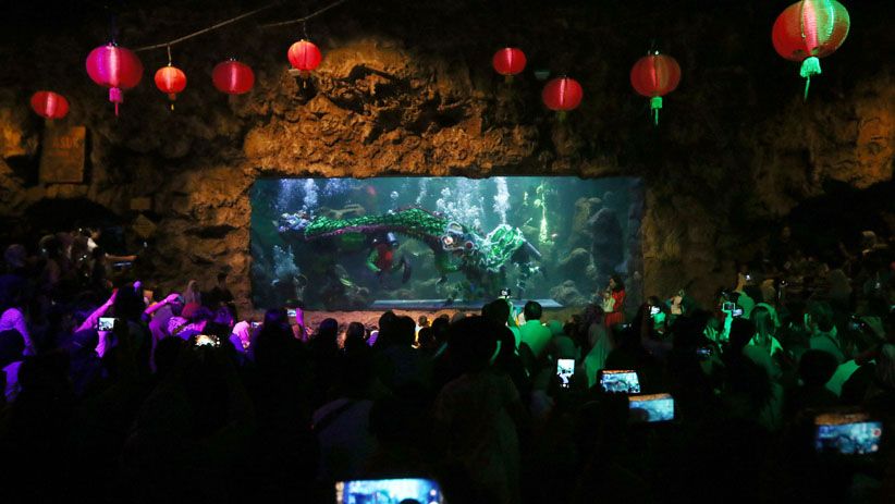 Meriahkan Imlek, Barongsai Beraksi di Kolam Sea World Ancol - Bagian 2