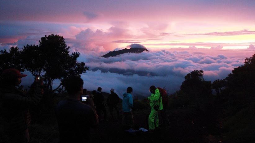 Menikmati Keindahan Alam dari Puncak Gunung Merbabu