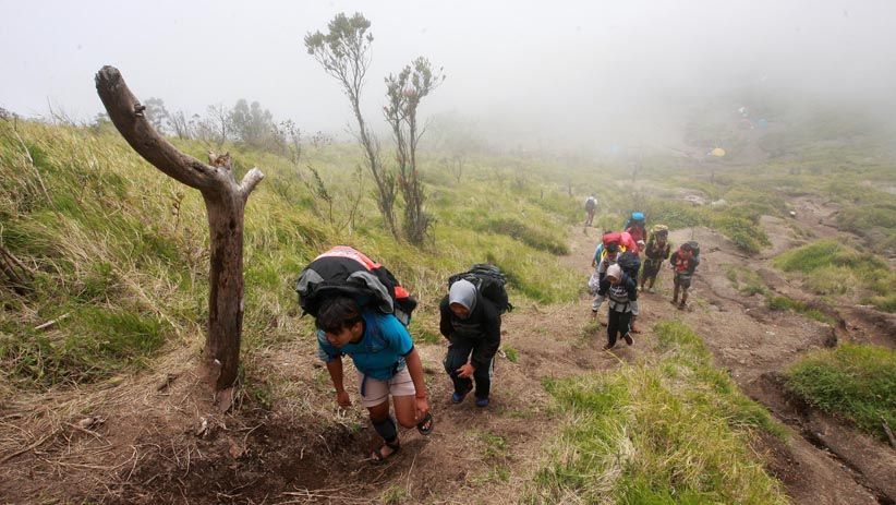 Menikmati Keindahan Alam dari Puncak Gunung Merbabu