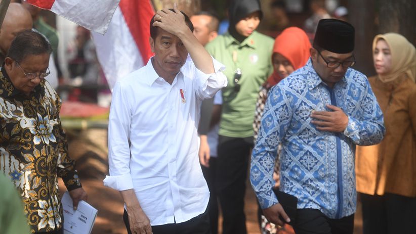 Jokowi Bagikan SK Pengelolaan Hutan Sosial Seluas 13.900 Hektare - Bagian 3