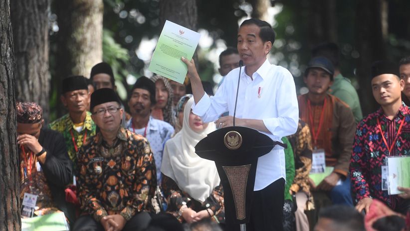 Jokowi Bagikan SK Pengelolaan Hutan Sosial Seluas 13.900 Hektare - Bagian 2