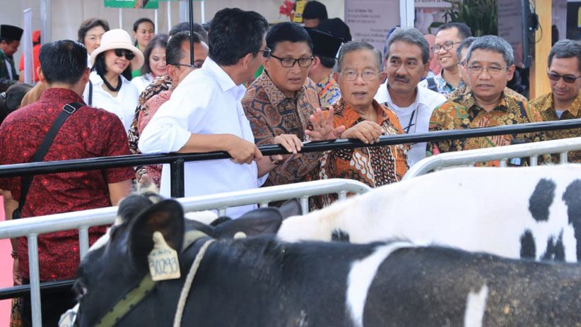 Bank BRI Sukseskan Peluncuran KUR Khusus Peternakan Rakyat - Bagian 2