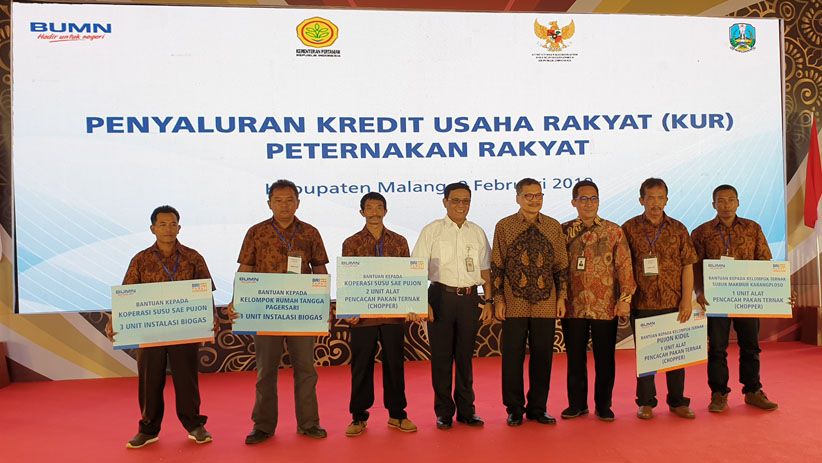 Bank BRI Sukseskan Peluncuran KUR Khusus Peternakan Rakyat - Bagian 5