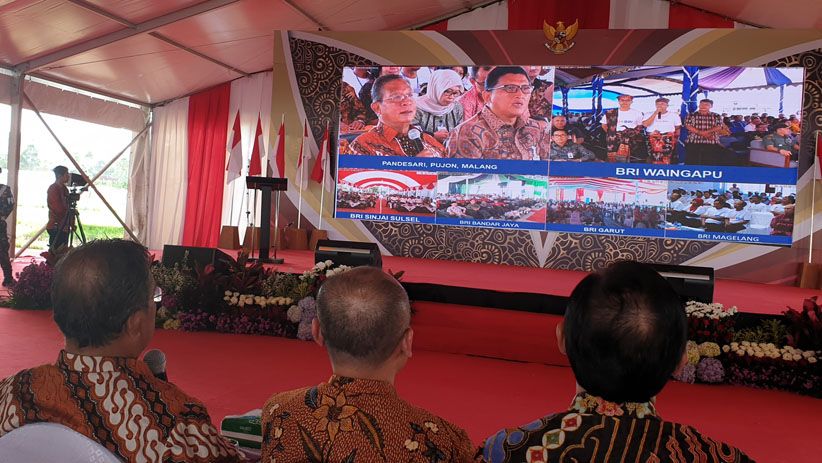 Bank BRI Sukseskan Peluncuran KUR Khusus Peternakan Rakyat - Bagian 3