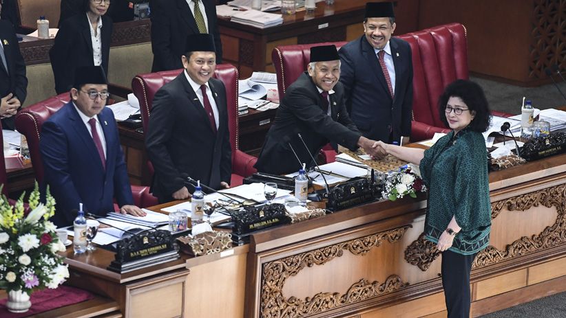 Ekspresi Kegembiraan Ratusan Bidan saat RUU Kebidanan Disahkan DPR - Bagian 4