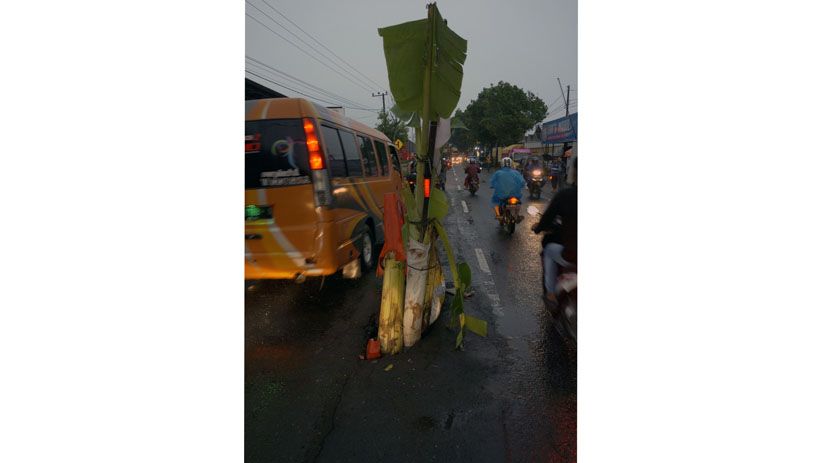 Jalan Nasional di Tulungagung Rusak Ditanami Pohon Pisang - Bagian 2