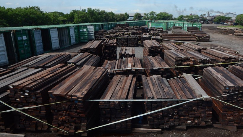 KLHK Sita 384 Kontainer Berisi Kayu Ilegal Asal Papua - Bagian 2