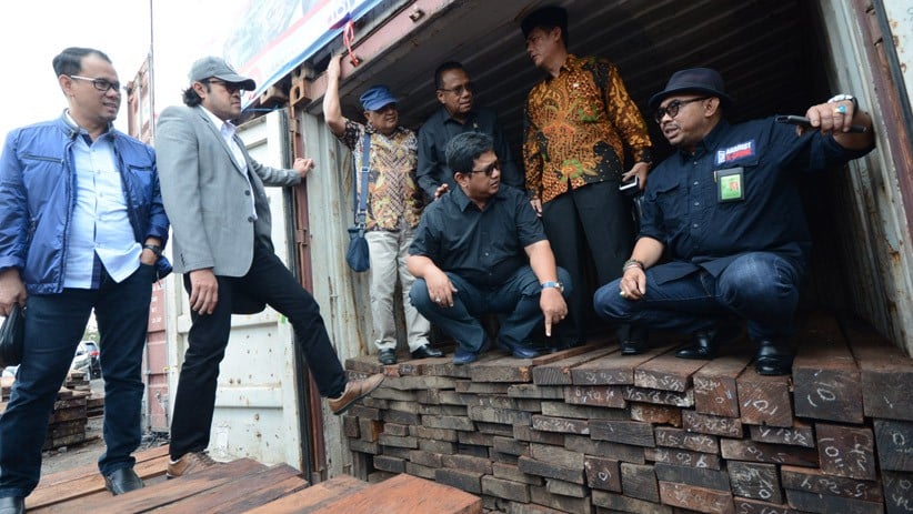 KLHK Sita 384 Kontainer Berisi Kayu Ilegal Asal Papua