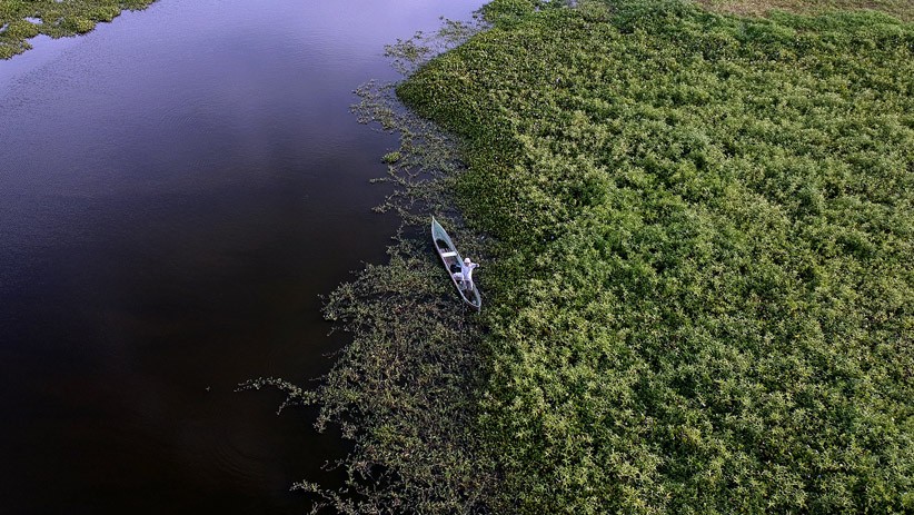 Masuk Kategori Kritis, Begini Kondisi Danau Limboto Gorontalo