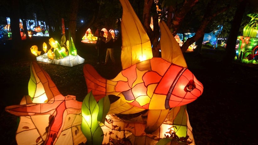 Berwisata ke Tasikmalaya, Melihat Pesona Warna-Warni Taman Lampion - Bagian 3