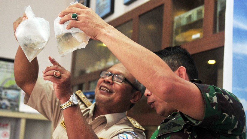 TNI AL Gagalkan Penyelundupan Bibit Lobster Senilai Rp19 Miliar - Bagian 2