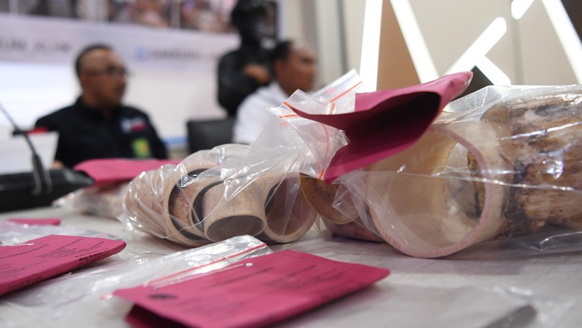 Gading Gajah Dijual Online Senilai Rp430 M Disita Kementerian LHK - Bagian 3