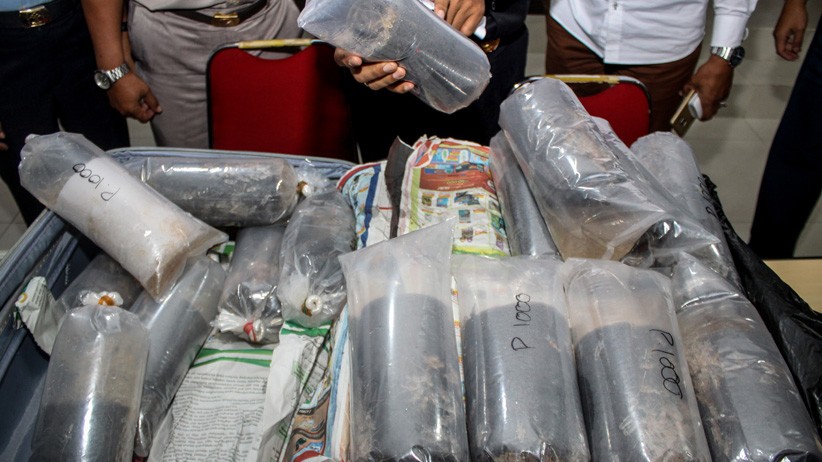 Bea Cukai Jawa Timur Gagalkan Penyelundupan 113.300 Ekor Benih Lobster