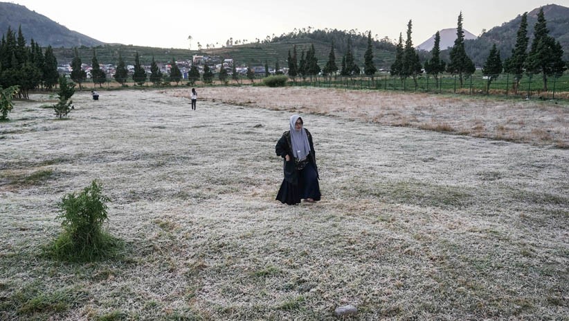 Pemandangan Dieng Diselimuti Es, Suhu Turun hingga -9 Derajat Celcius - Bagian 1