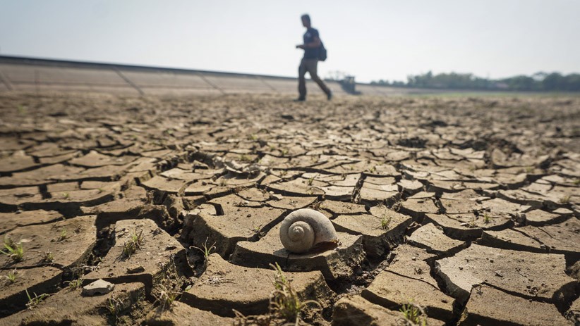 Waduk Botok Sragen Mengering, 2.488 Hektare Sawah Terancam Gagal Panen