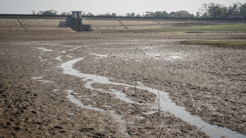 Waduk Botok Sragen Mengering, 2.488 Hektare Sawah Terancam Gagal Panen