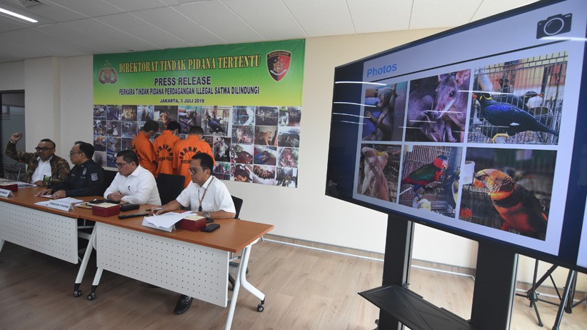 Bareskrim Polri Ungkap Kasus Perdagangan Satwa Dilindungi - Bagian 2