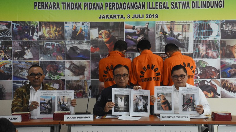 Bareskrim Polri Ungkap Kasus Perdagangan Satwa Dilindungi - Bagian 1