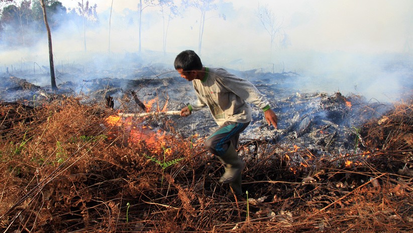 Kebakaran Hutan dan Lahan di Aceh Seluas 99 Hektare