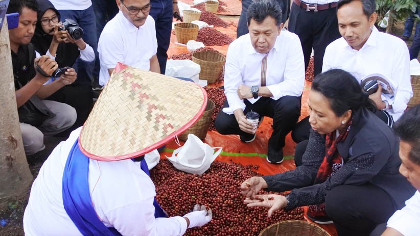 Menteri BUMN Dorong Produksi Kopi Arabika karena Diminati Pasar Luar Negeri - Bagian 3