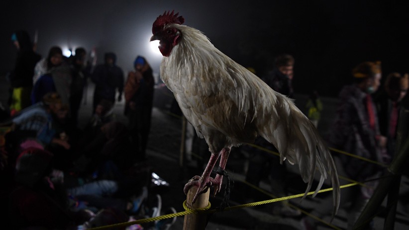 Warga Suku Tengger Gelar Upacara Yadnya Kasada di Gunung Bromo - Bagian 3
