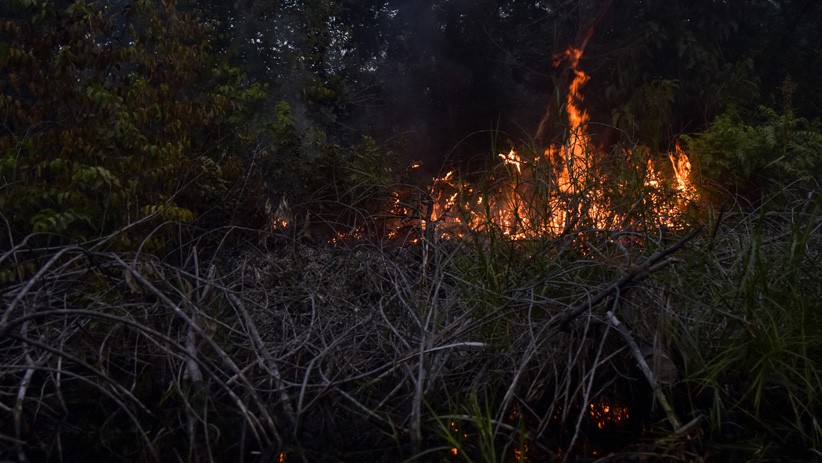 Kebakaran Hanguskan Lebih dari 27 Ribu Hektare Lahan di Riau