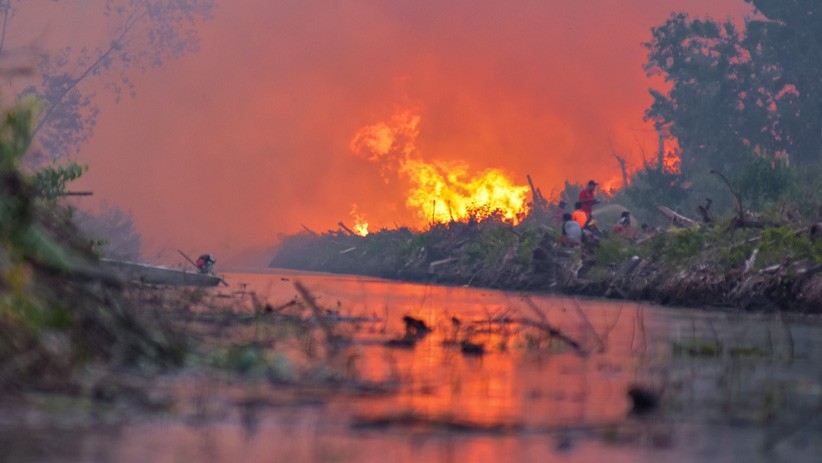 Kebakaran Hanguskan Lebih dari 27 Ribu Hektare Lahan di Riau - Bagian 2
