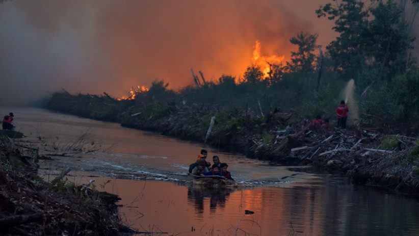 Kebakaran Hanguskan Lebih dari 27 Ribu Hektare Lahan di Riau