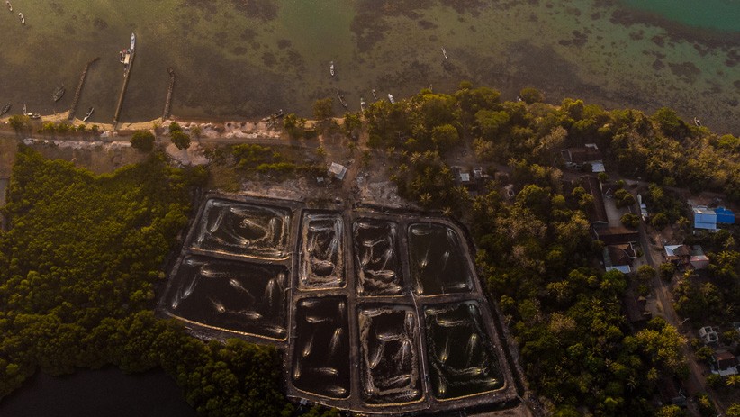 Foto Area Hutan Mangrove Karimunjawa Berubah Fungsi Jadi Tambak Udang - Bagian 2