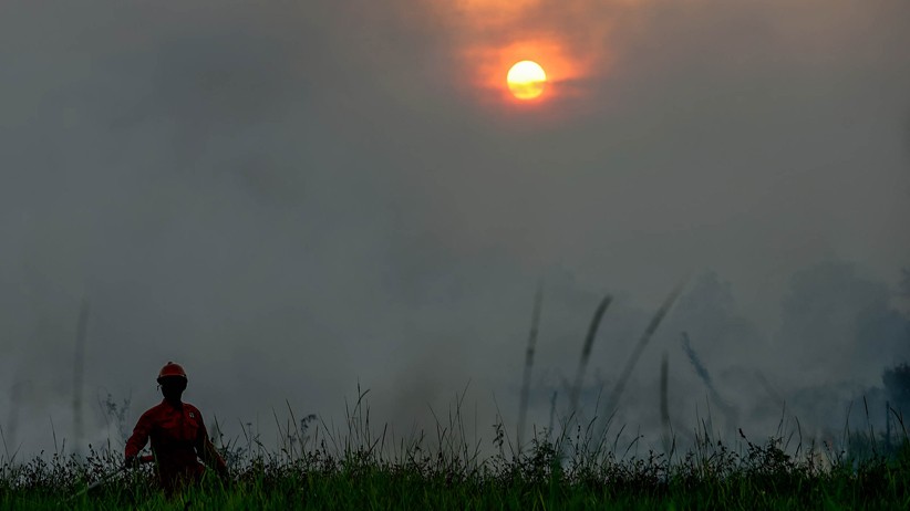 Pantauan Satelit LAPAN, 695 Titik Api Terdeteksi di Wilayah Indonesia - Bagian 3
