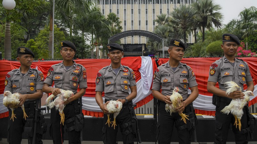 Protes Harga Ayam Anjlok, Peternak Demo Kantor Menko Perekonomian - Bagian 4