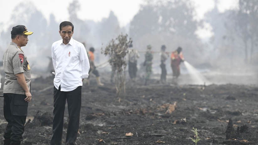 Presiden Jokowi Cek Penanganan Kebakaran Hutan dan Lahan di Riau - Bagian 3